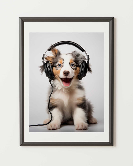 Australian Shepherd Rhythm Poster