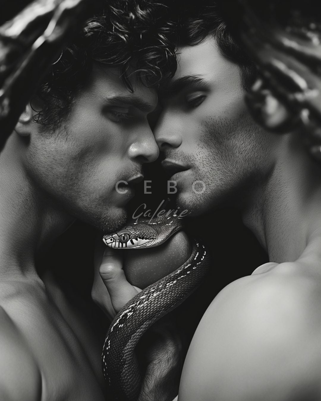 Adam & Adam Poster