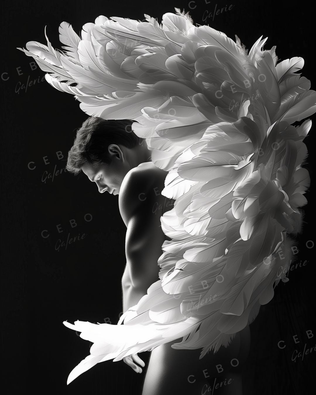 Affiche Beauté Divine