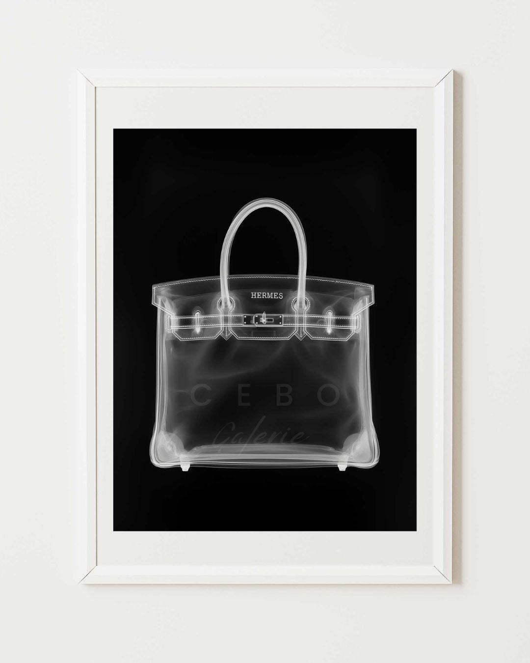 Birkin Xray Poster