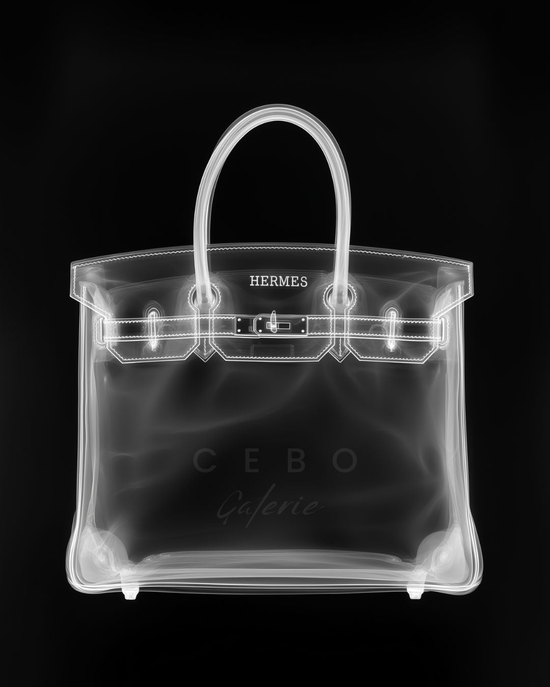 Birkin Xray Poster