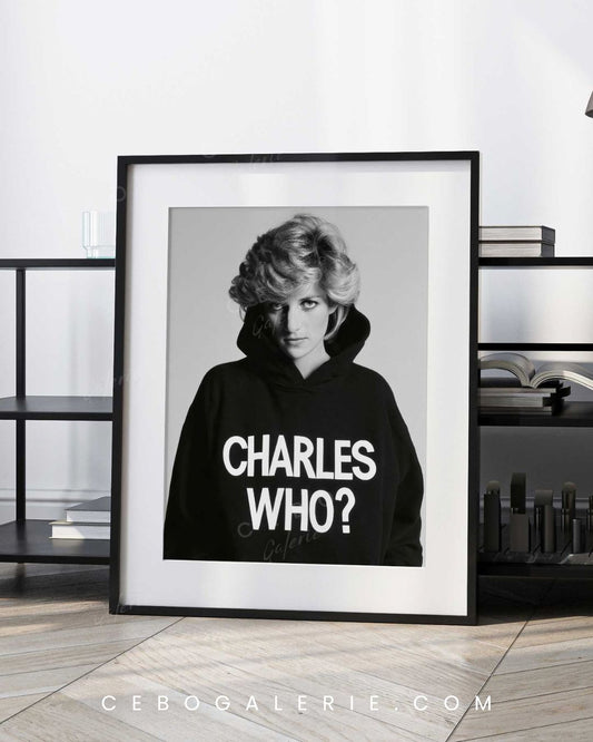 Affiche Charles Who?