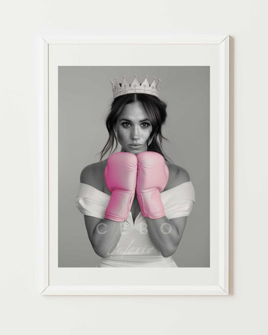 Meghan's Fight Poster