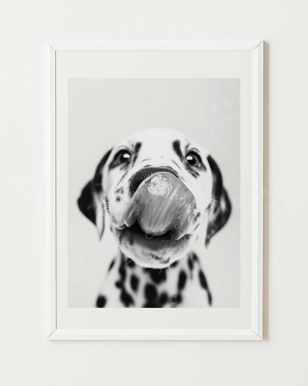 Dalmatian Kiss Poster