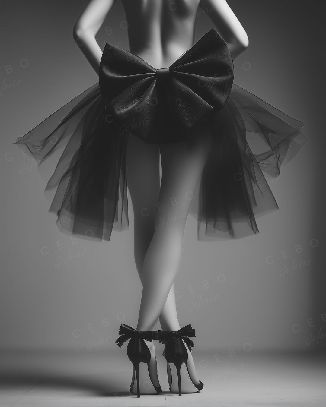 Affiche Énigme Élégante