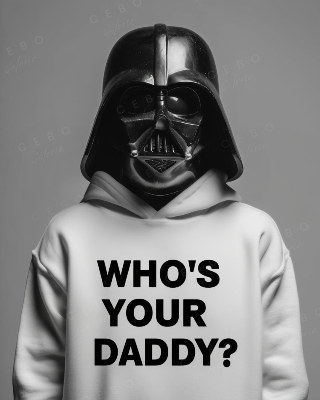 Affiche Who’s Your Daddy?