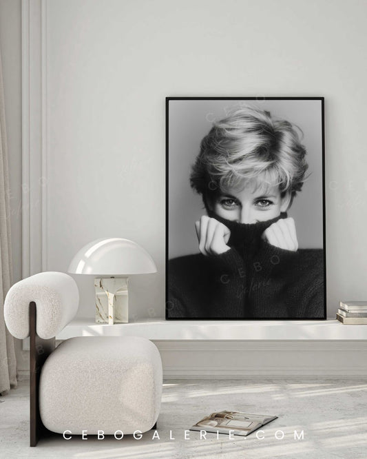 Affiche Secret Diana