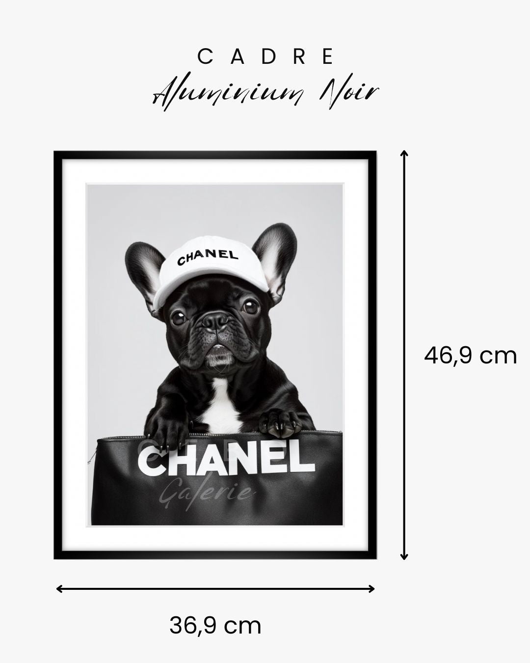 Luxury Bulldog Frame