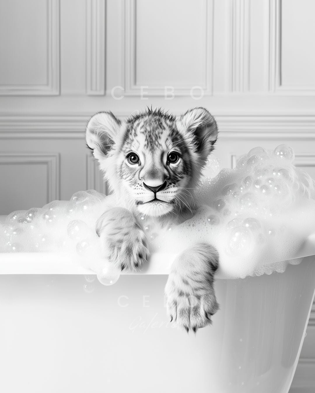 Affiche Bain Sauvage