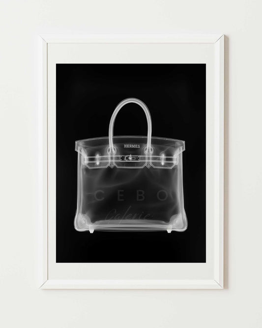 Birkin Xray Poster