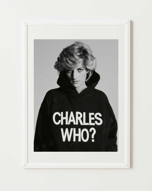 Affiche Charles Who?