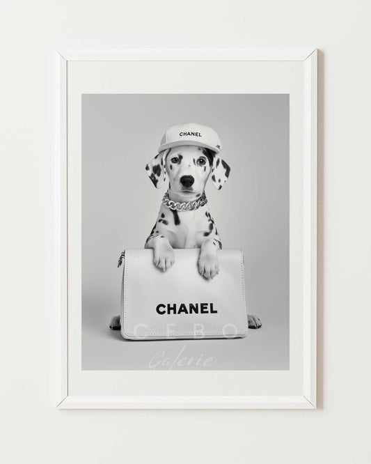 Affiche Chien de Luxe
