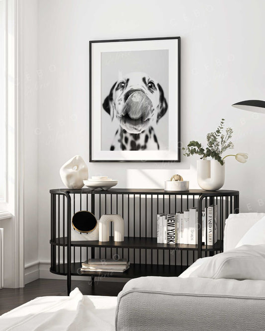 Dalmatian Kiss Poster