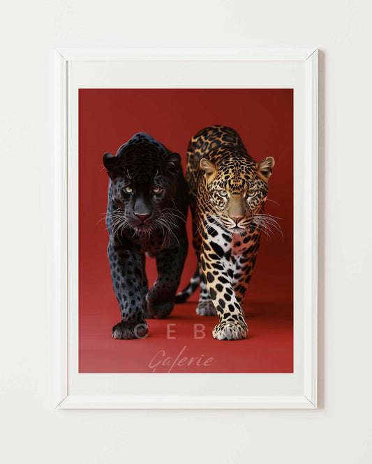 Affiche Énigmes Félines