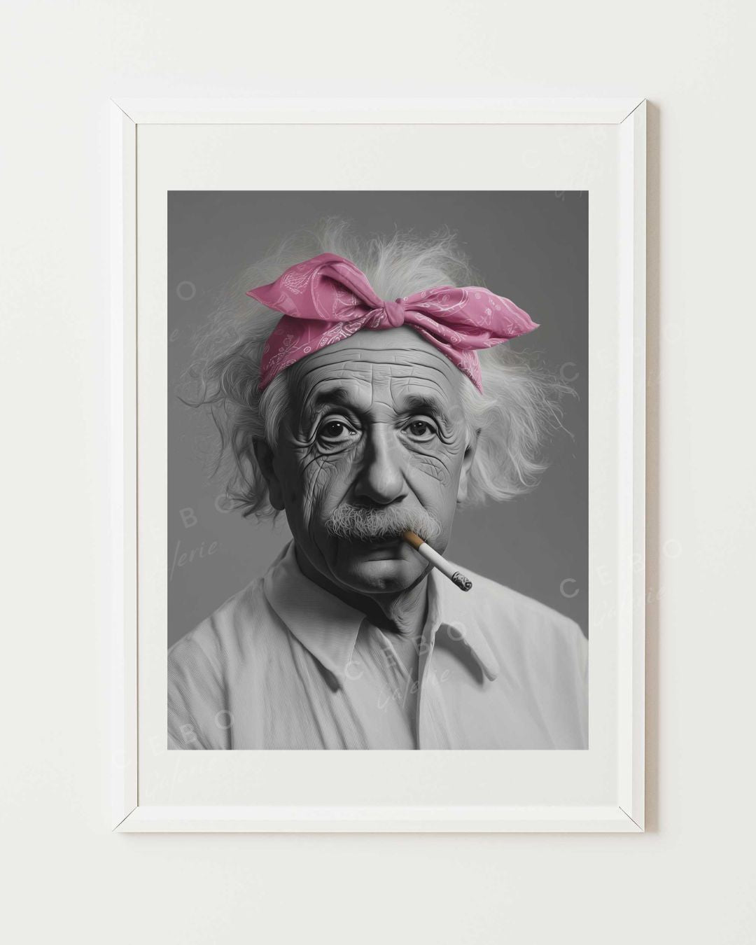 Unverschämtes Einstein-Poster