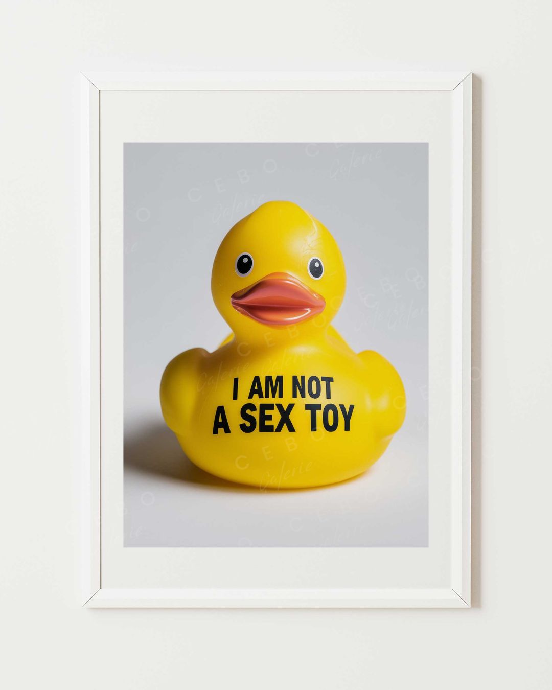 Affiche I Am Not a Sex Toy