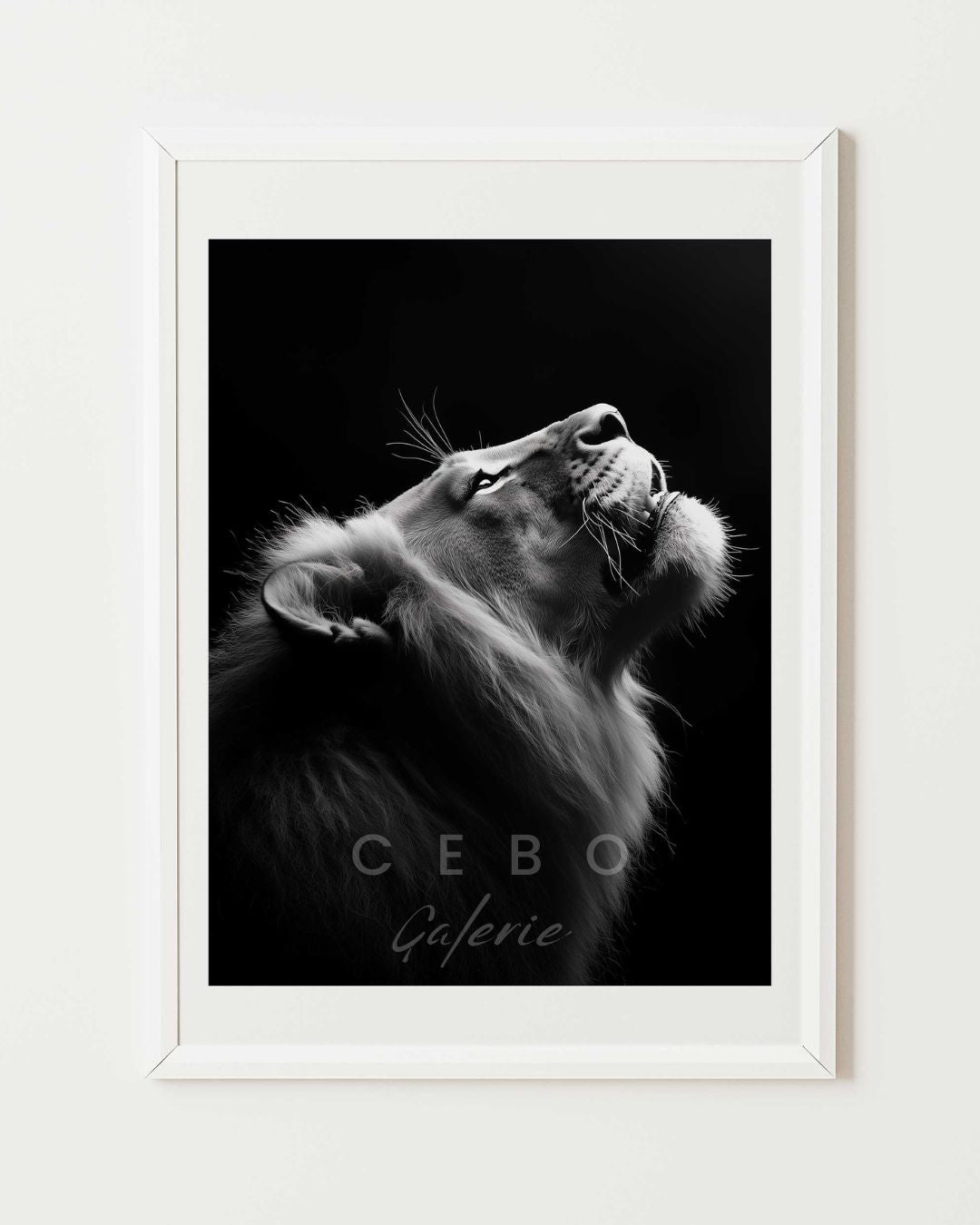 Affiche Majesté Sauvage