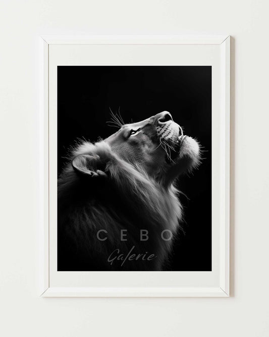 Affiche Majesté Sauvage