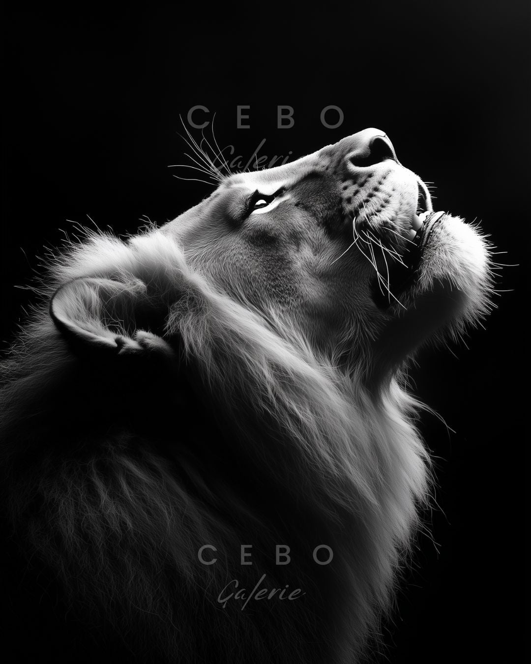 Affiche Majesté Sauvage