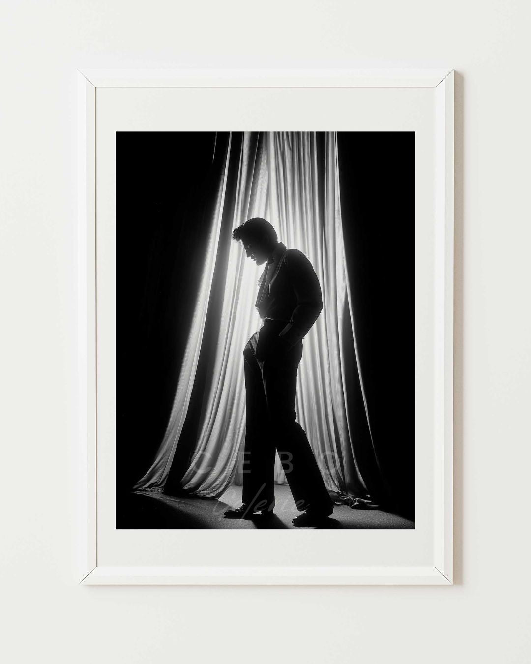 Affiche Ombre d’Elvis