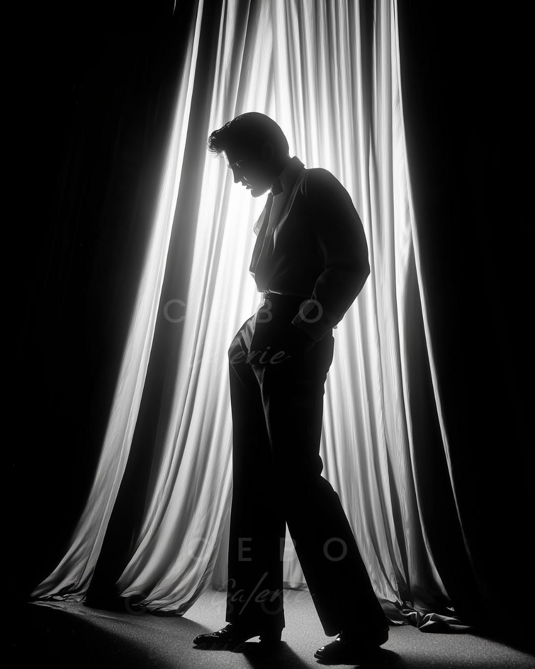 Affiche Ombre d’Elvis