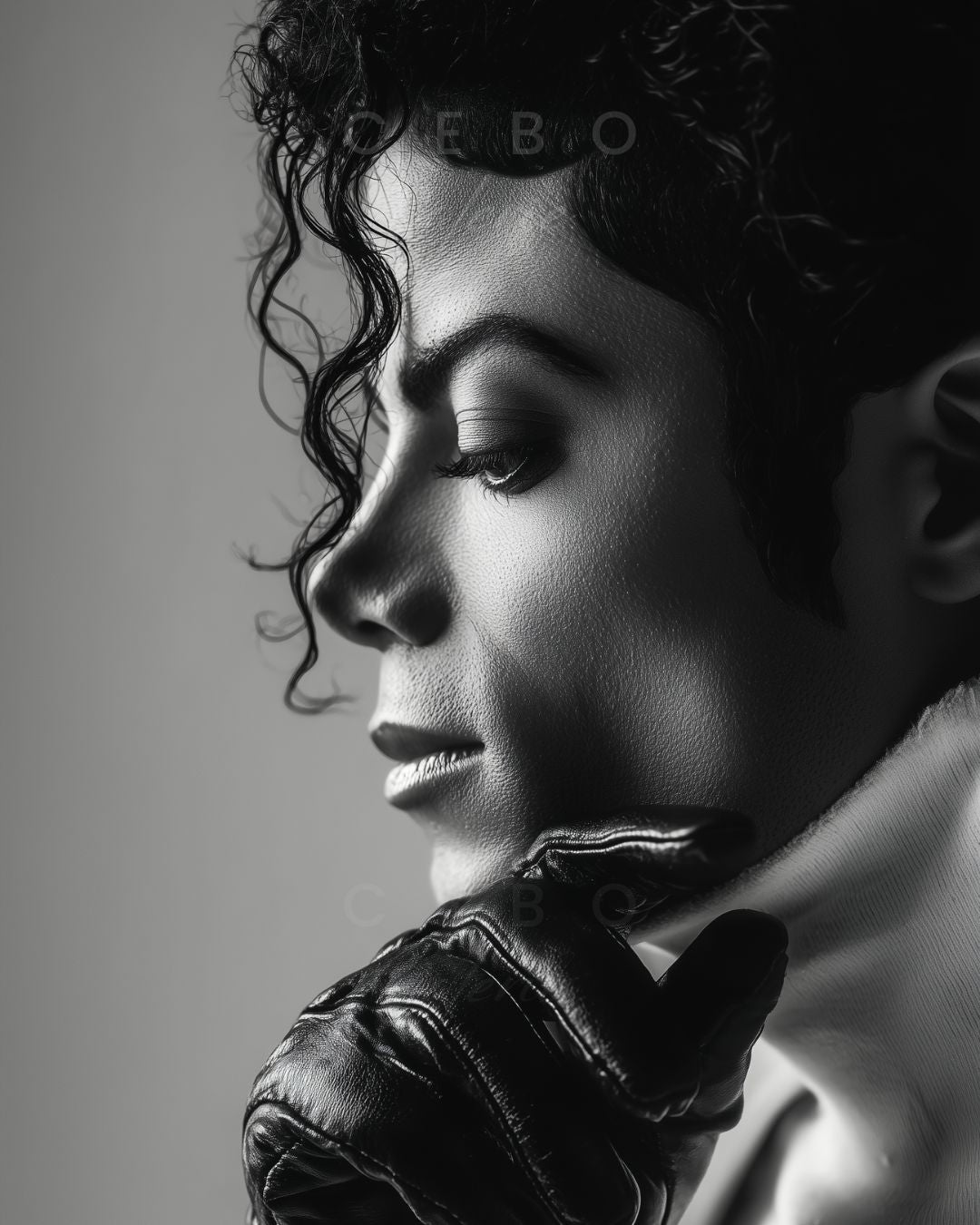 Affiche Iconique Jackson