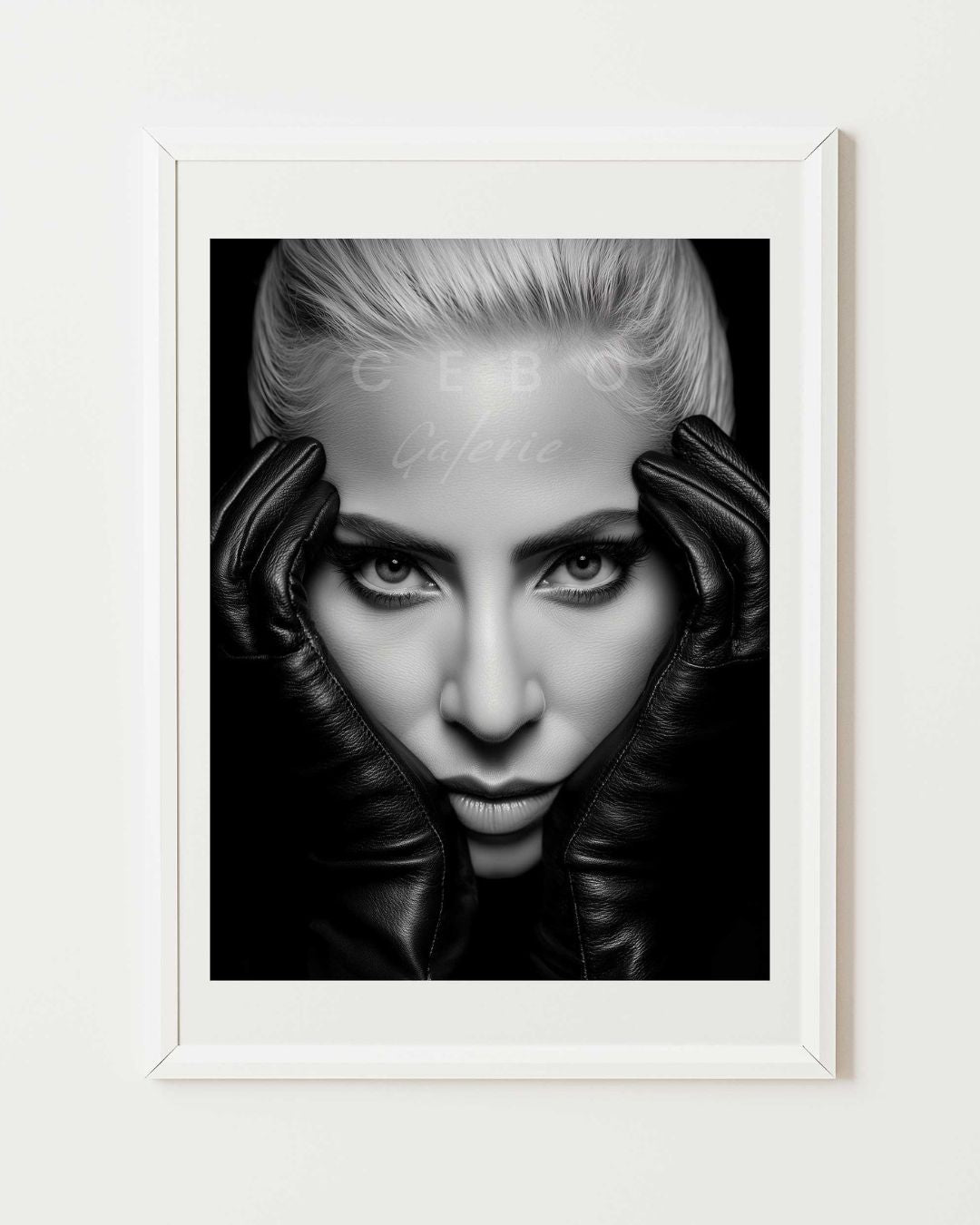 Affiche Regard de Gaga