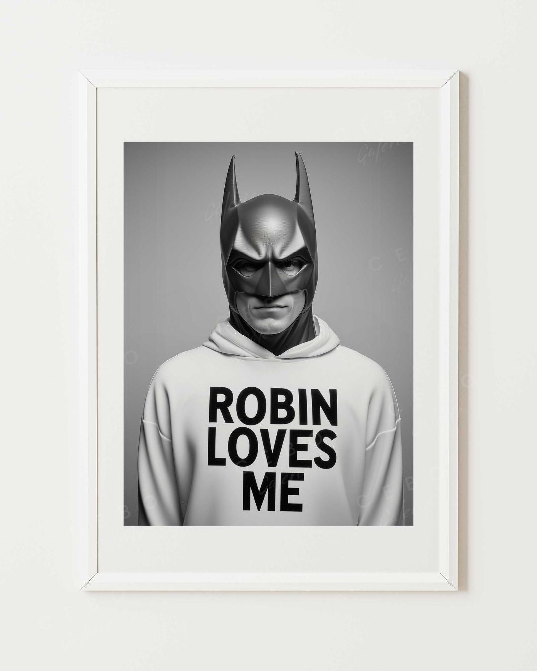 Affiche Robin Loves Me