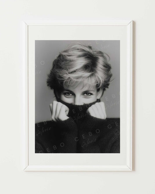 Affiche Secret Diana