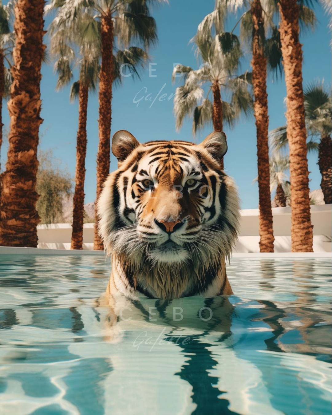 Plakat für das Bad Ihrer Majestät