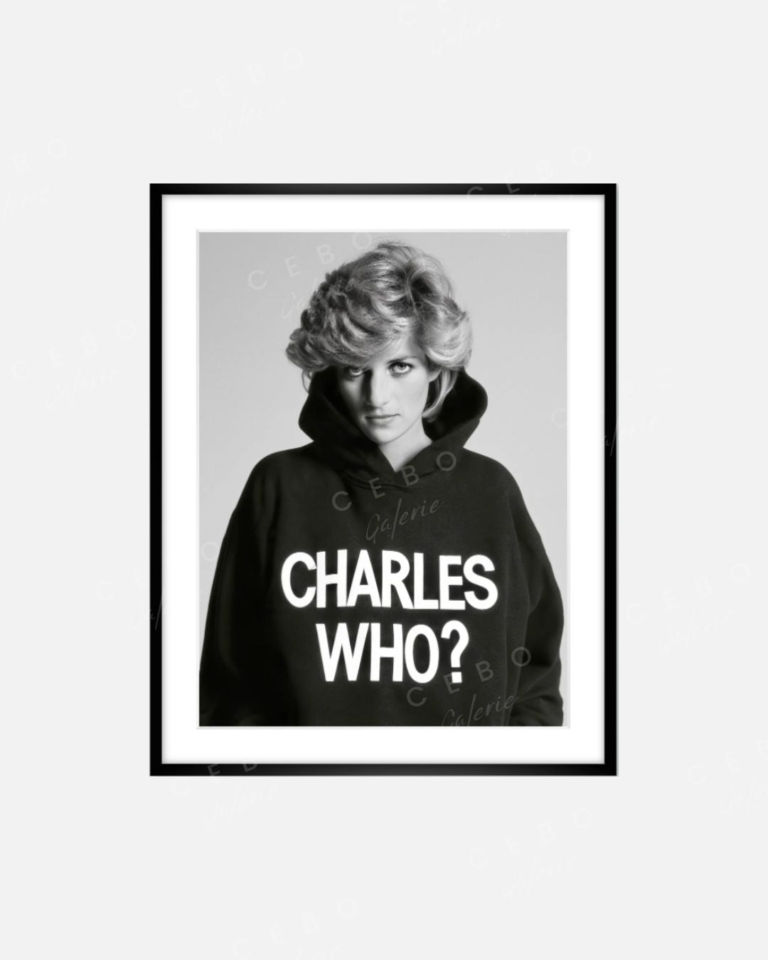 Frame ‘Charles Who?’