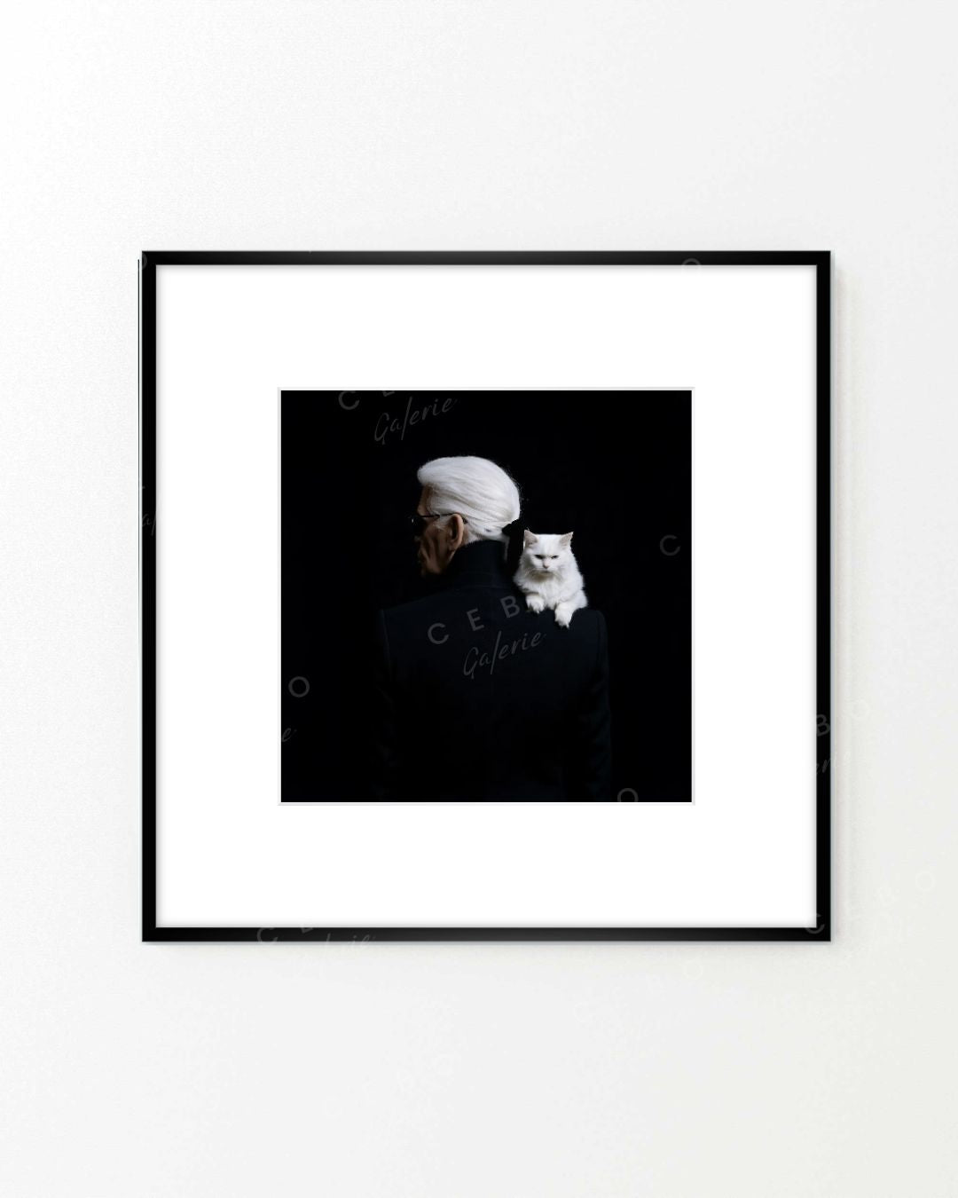 Frame ‘The Kaiser’