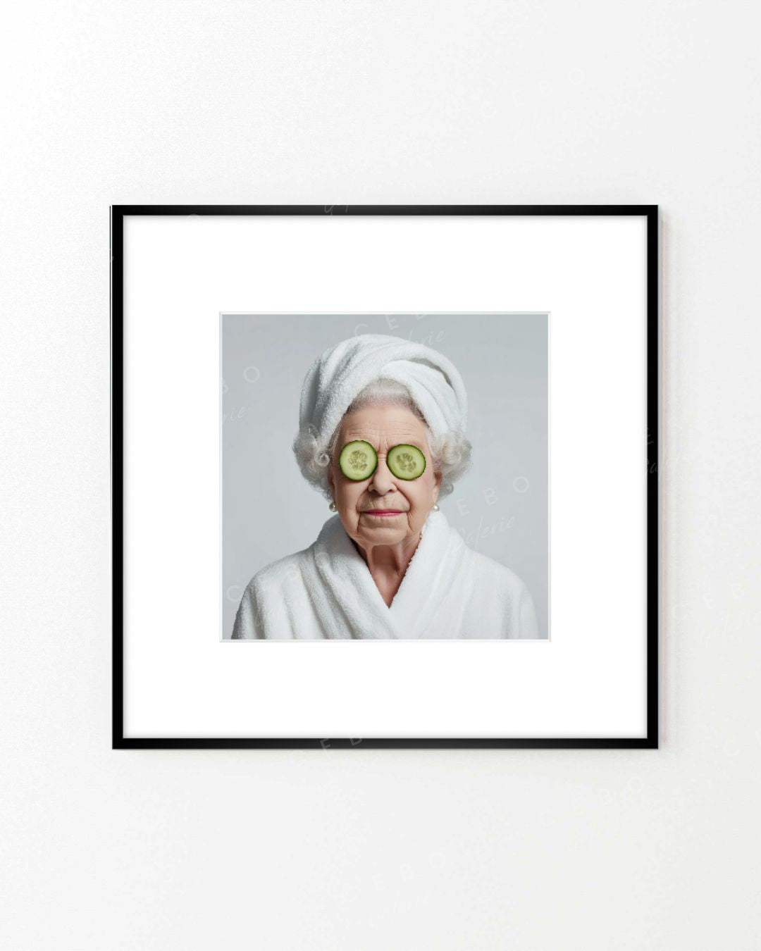 Frame ‘SPA Queen’