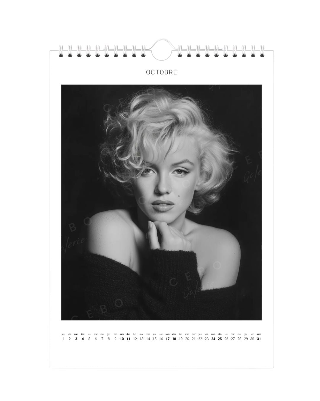 Calendrier 2026 “Marilyn Monroe”