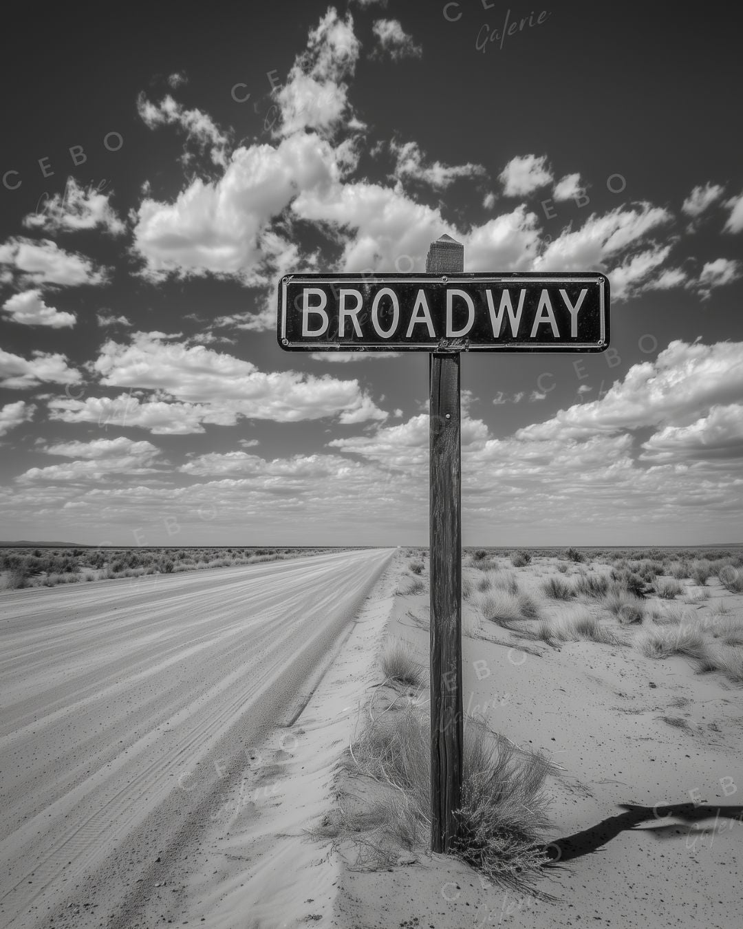 Tableau Broadway Desert - Exemplaire Unique